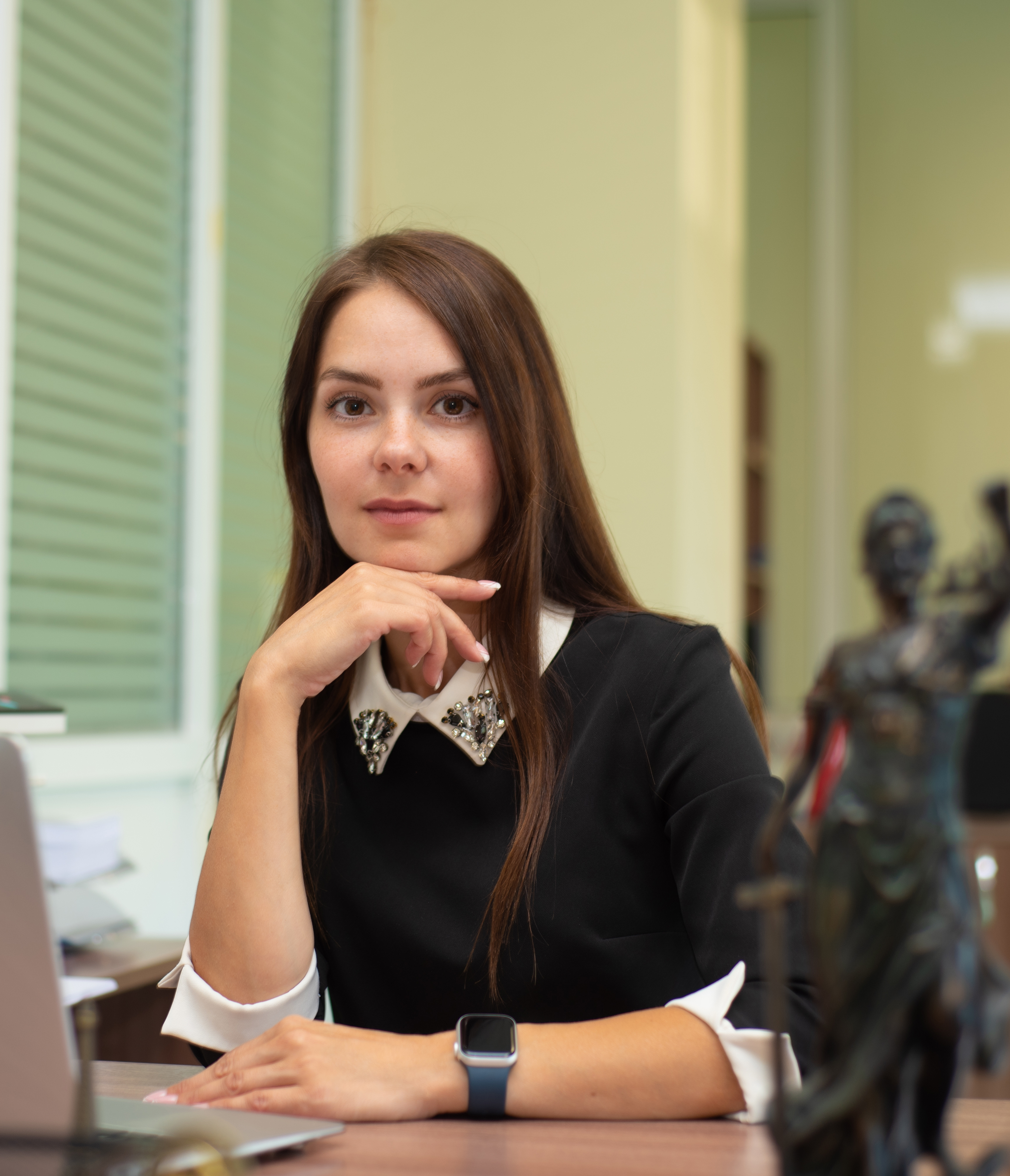 Адвокат Елена Мишина